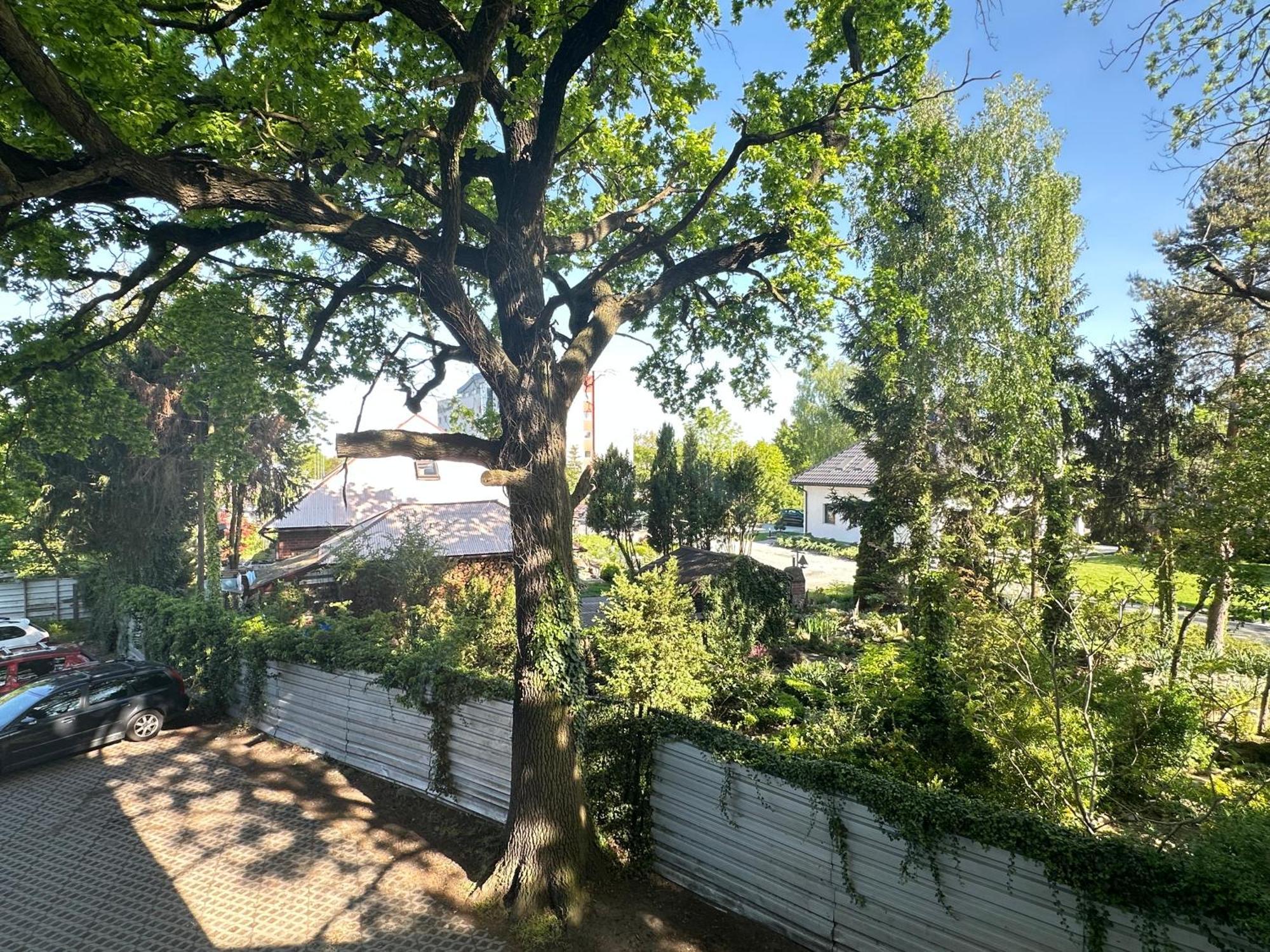 Moveen! Wynajem Apartamentow We Wroclawiu! 10 Minut Od Centrum 외부 사진